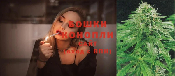 индика Переславль-Залесский