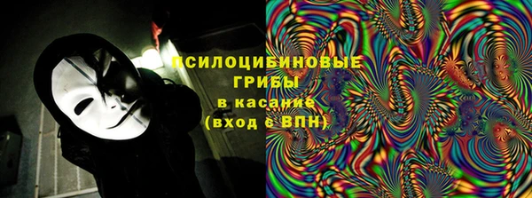 индика Переславль-Залесский