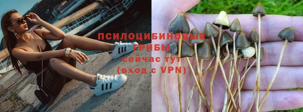 каннабис Покачи