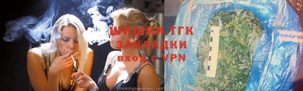 индика Переславль-Залесский