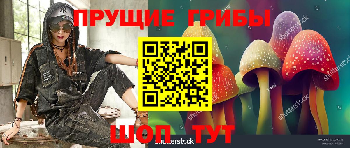 Псилоцибиновые грибы Psilocybine cubensis  наркошоп  Галлюциногенные грибы мицелий  Тара 